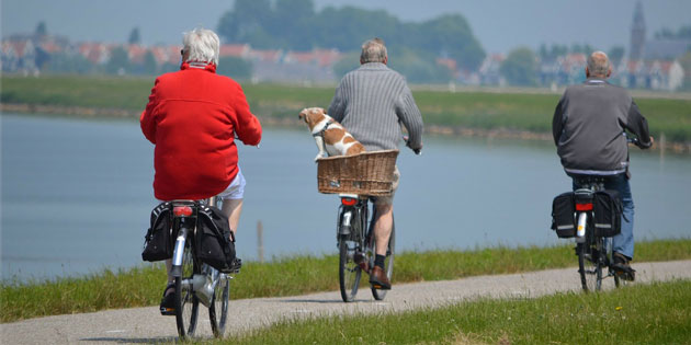 GDV: Deutsche kennen ihre Rente nicht. Wie viel Geld gibt es im Alter? Nur wenige wissen das.