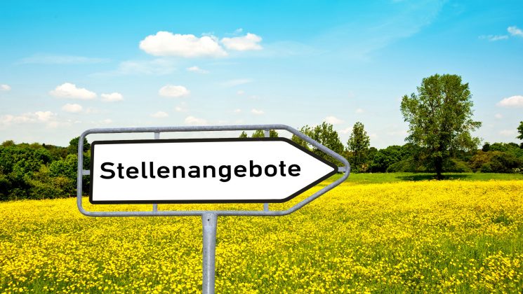 Verdrängen Minijobs reguläre Arbeitsplätze?